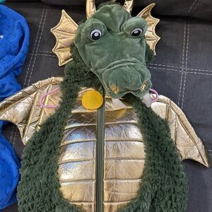 Green and Gold Dragon Kids Costume